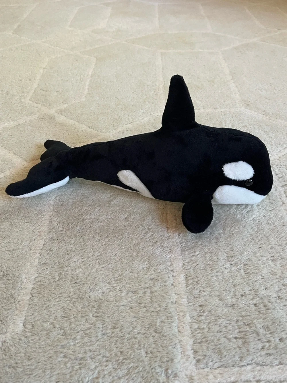 Douglas Spout Orca Whale